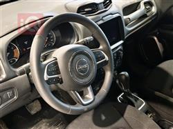 جيب رينيجيد